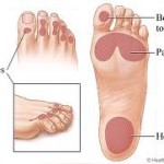 foot